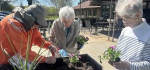 Cultivating Joy: Spring Gardening and Green Thumbs at St. Monica's